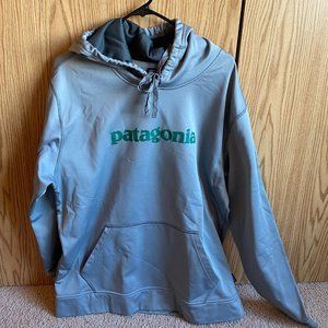 Men's Silver and Green Patagonia Hoodie